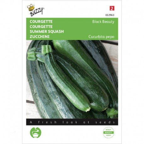 Courgette Black beauty (Verte de Milan)