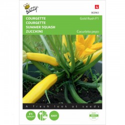 Courgette Gold Rush F1