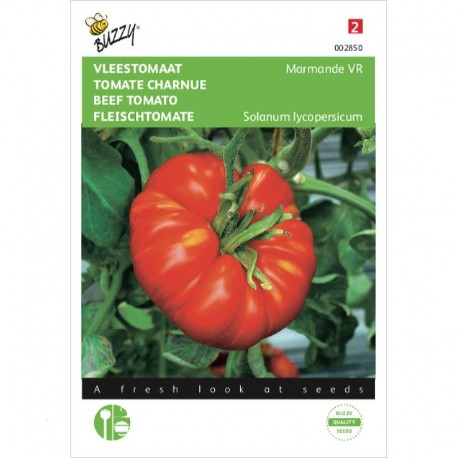 Tomate charnue Marmande VR