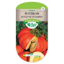 Potiron rouge vif d'Etampes 6 gr