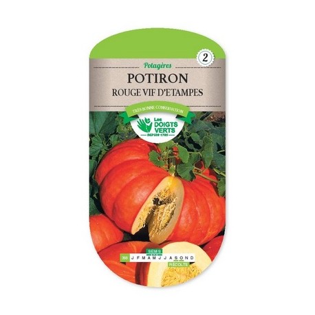 Pompoen Rode van Etampes 6 gr