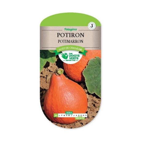 Potiron Potimarron 4 gr