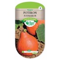 Pompoen "Potimarron" 4 Gr