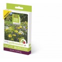 Prairie fleurie: Pollinisation et abeilles - 3 M²