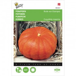 Potiron rouge vif d'Etampes 3 gr