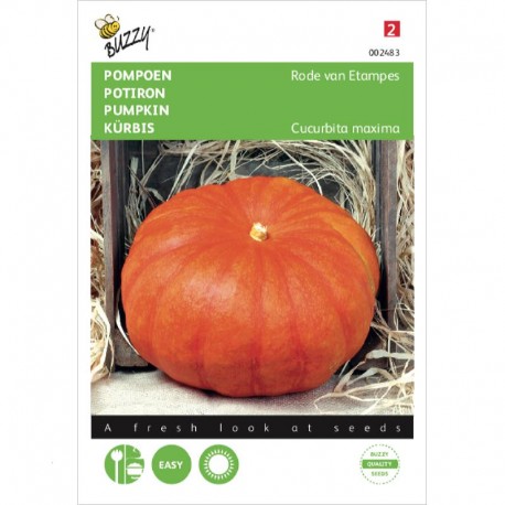 Potiron rouge vif d'Etampes 3 gr