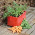 Sac de culture pour carottes 45 x 30 x 30 cm - set de 2 pièces