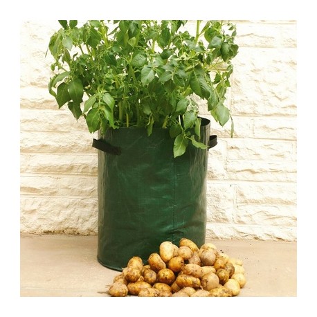 Sac culture à pommes de terre (Set de 3 sacs)