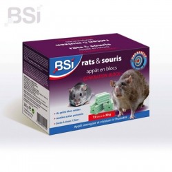 BSI Generation Block 300g (15x20g)