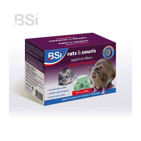 BSI Generation Block 300g (15x20g)